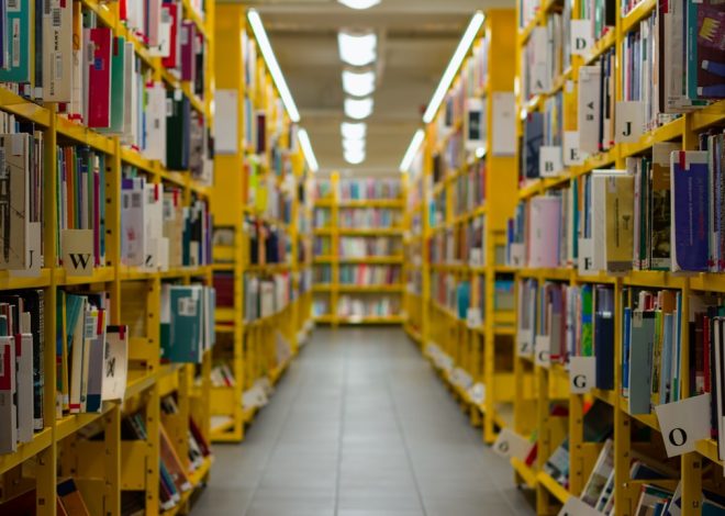 Essential Tips for Constructing Home Libraries